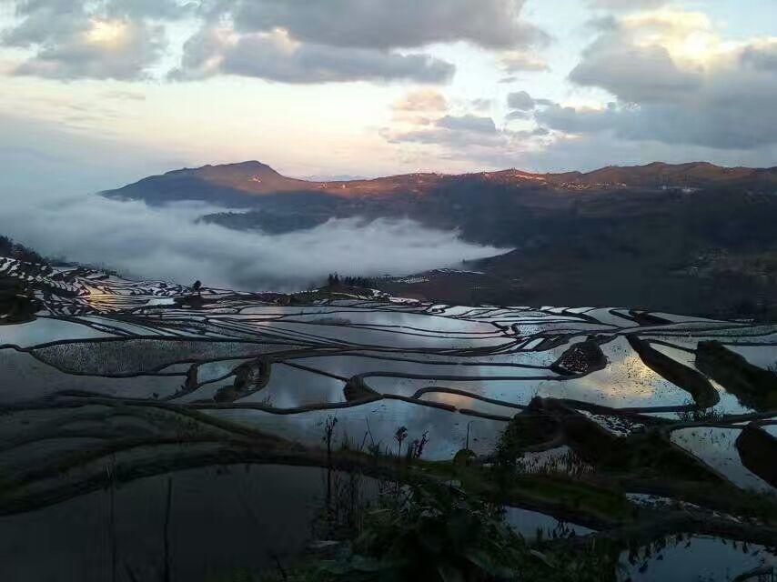 Green Hostel & Sunny Guesthouse Yuanyang  Exteriör bild